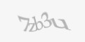 Защитный код