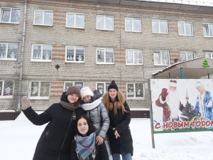 Новогодние окна