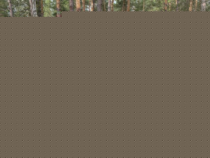 IMG 20230516 105218 656